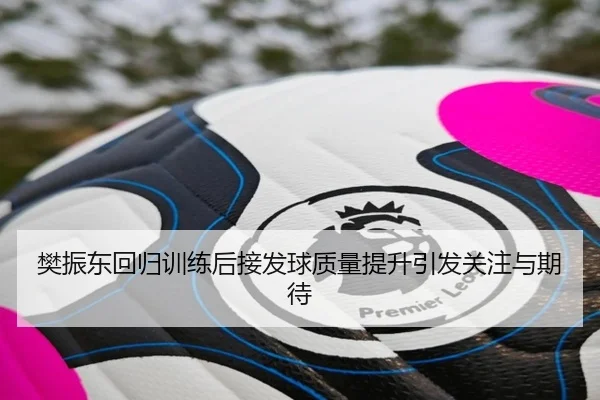 樊振东回归训练后接发球质量提升引发关注与期待